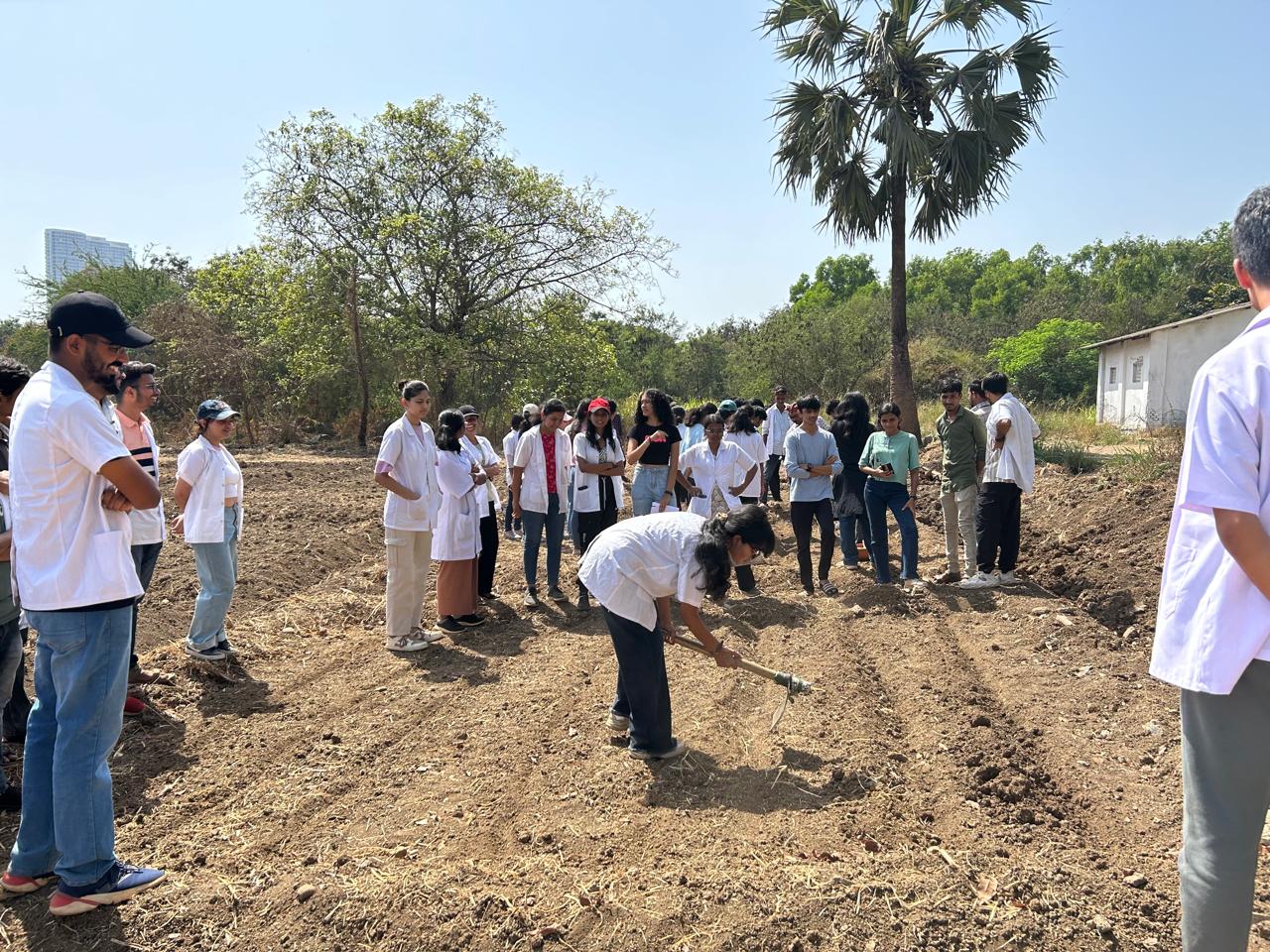 Tillage Demonstration practical